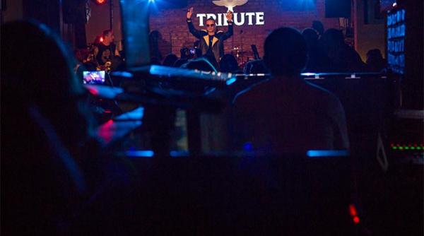 p am gasit bucure tiul live