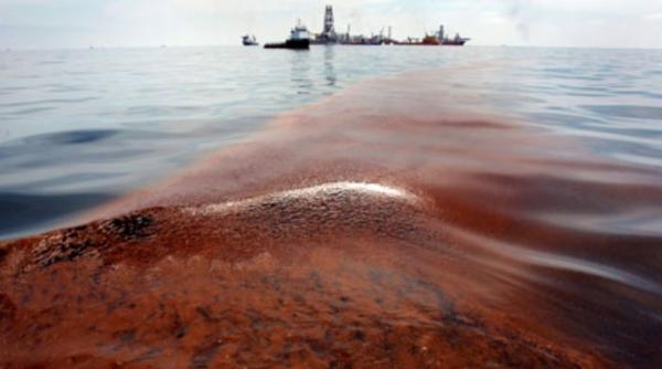 alerta ecologica marea neagra poluata cu petrol deversat de la un oleoduct rusesc