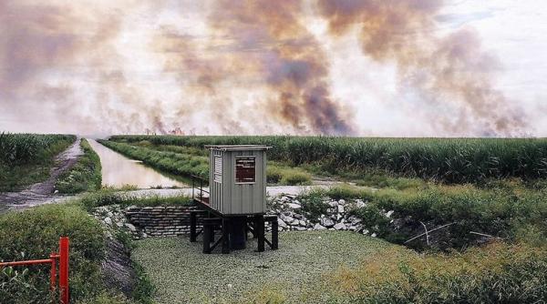 ritual vrajitoresc pe un camp in india ce face un barbat in mijlocul trestiei pentru a si ajuta sotia sa ramana insarcinata video