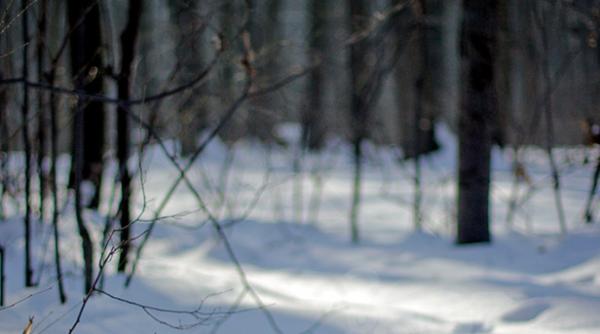 femeie gasita in padurea baneasa aproape inghe ata