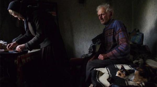 o pisica din maramures vedeta national geographic