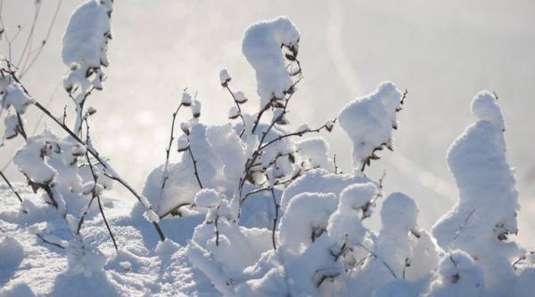 informare meteo de ger si viscol in toata tara pana vineri dimineata