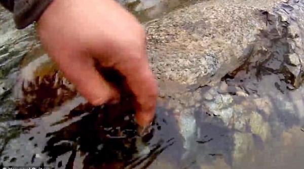 misterul din siberia un pescar rus a pus pe jar savantii din toata lumea este prea frumos ca sa fie adevarat video