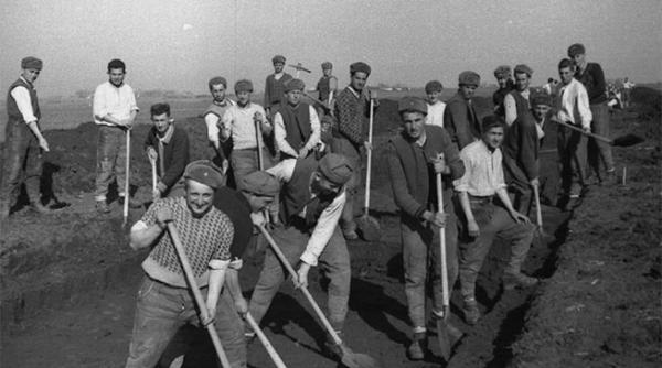 la lupta cu lopata in mana armata la diribau pe santierele patriei munca silnica pentru ca unchiul s a stabilit in germania