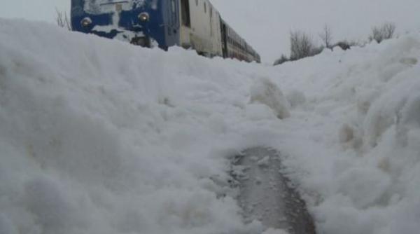 cadavrul unui barbat gasit langa gara din gugesti abia dupa topirea zapezii
