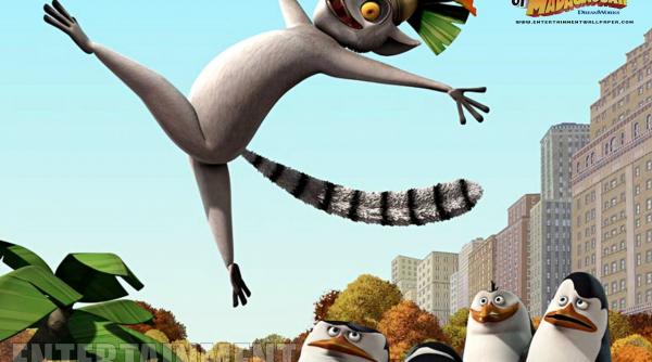 maraton de desene animate pinguinii si spongebob