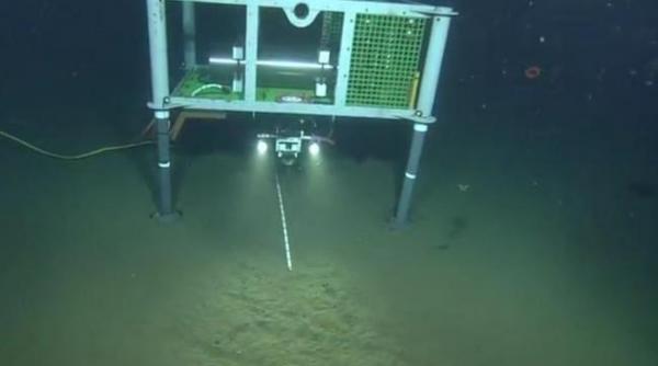 inregistrarea care i a bulversat pe cercetatori ce a descoperit un pusti pe fundul oceanului este un document video unic video