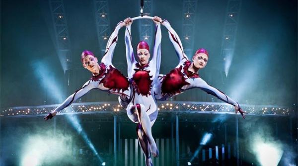 vine cirque du soleil