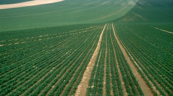 comisia europeana franta trebuie sa returneze un miliard de euro din ajutoarele agricole