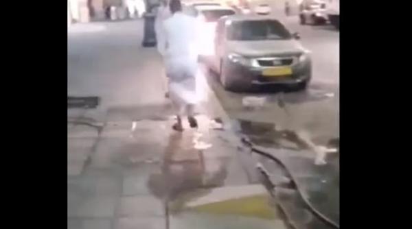 nu te pune cu mine ce patesc doi idioti care chinuie mai multe pisici