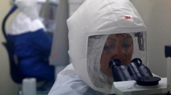 oamenii de stiinta avertizeaza virusul ebola a suferit mutatii