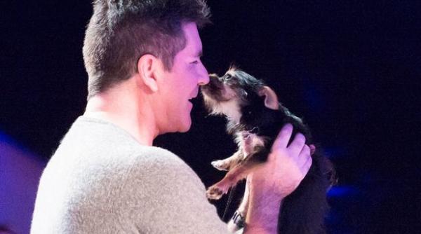 simon cowell lesin hipnoza caine video