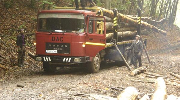 politruci in loc de academicieni romsilva incalca legea sa si puna vatafi peste padure pentru ca parcurile nationale sa dispara