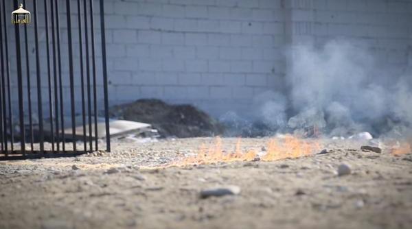 barbarie pilotul iordanian capturat de isis ars de viu video