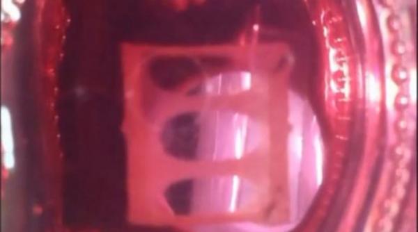 premiera mondiala cercetatorii americani au produs un muschi uman artificial functional