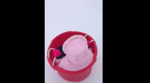 video funny a fost un copil minunat ii vor simti lipsa