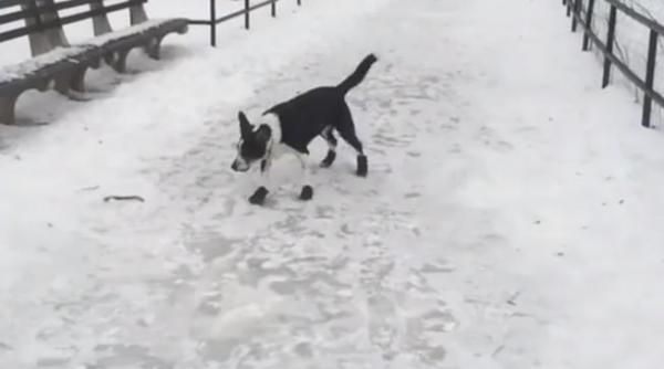 justitie divina ce se intampla atunci cand razi de necazul altuia video