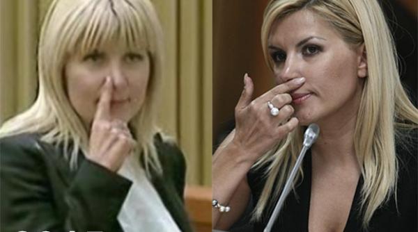 udrea gest interlop parlament