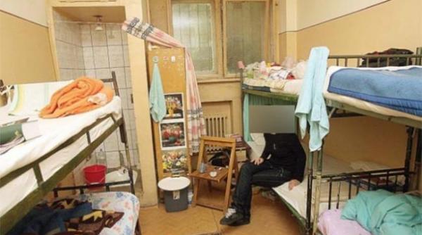 cum vrea elena udrea sa si redecoreze celula