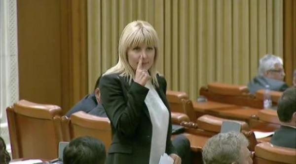 cine i a adus flori elenei udrea la arest chiar de valentine s day