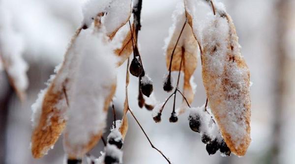 temperaturi de minus 25 de grade in urmatoarele doua saptamani prognoza meteo pana la 1 martie