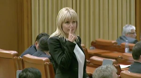 elena udrea a scris un nou mesaj pe facebook ce le cere fostul ministru anchetatorilor