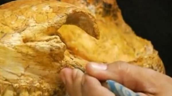 descoperire fabuloasa in peru nu au echivalent in istoria planetei oamenii de stiinta sunt fascinati video