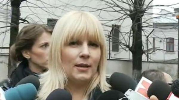 elena udrea la curtea suprema stiam ca dorin cocos finanta campaniile pdl