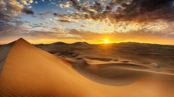 magia din desert ce a aparut in mijlocul celui mai uscat de pe planeta video