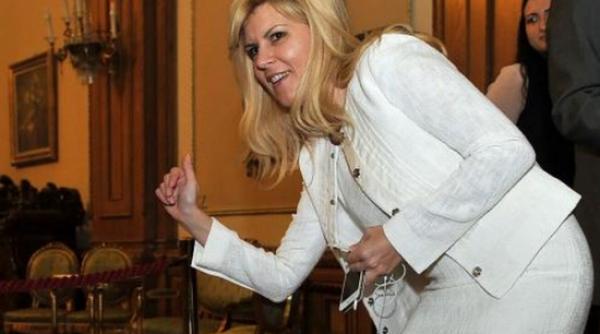 elena udrea sugereaza ca ar fi doar un tap ispasitor si aduce clarificari pe facebook privind dosarul gala bute