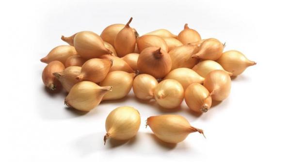 culivarea cepei prin aarpagic pe terenuri agricole mici