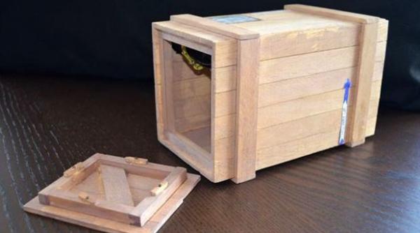 pe bune londra perth gol intr o cutie pentru ca nu avea bani de avion