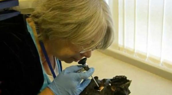 n am mai vazut asa ceva este exraordinar ce au descoperit cercetatorii intr un craniu vechi de 2 600 de ani video