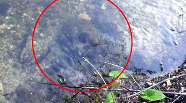 descoperire incredibila facuta intr un rau din marea britanie oamenii de stiinta bulversati total video