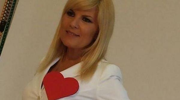 prin grija norvegienilor elena udrea va avea dus si toaleta antivandalism