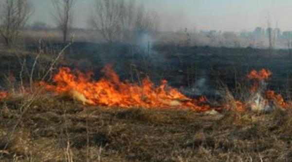 incendiu puternic in delta vacaresti