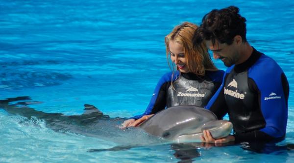 joi de la 20 30 in semifinala show ului burlacul merge sa inoate cu delfinii