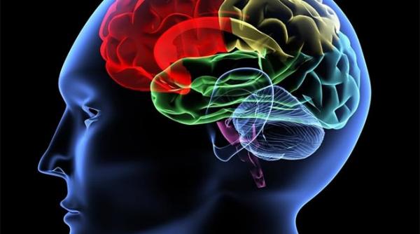 ai un creier ingrijeste l