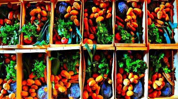 rosii si ceapa pe abonament salvarea micului producator sistemul japonez