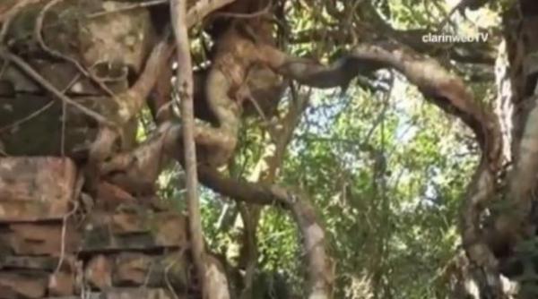 misterul din jungla argentiniana a fost descoperit unul dintre cele mai bine pazite secrete ale celui de al doilea razboi mondial video