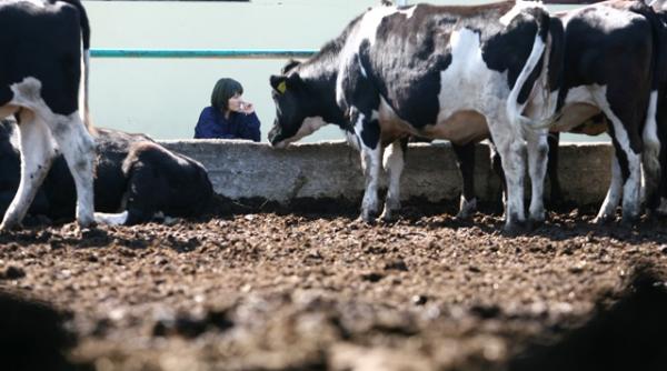 ponta vrea ca producatorii romani sa si vanda produsele la supermarket uri insa nu la preturi umilitoare