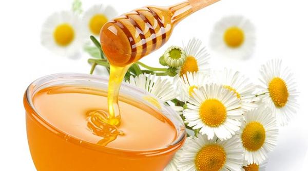 ponta isi cearta ministrii ca au uitat mierea tva la miere se reduce sau nu