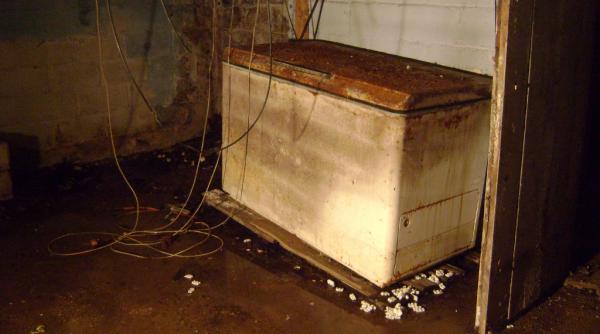 tinea in congelator cadravrele copiilor sai pe care i omorase in bataie cand mi se facea dor de ei ma uitam in frigider