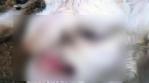 inspaimantator o oaie a dat nastere anticristului spun unii video