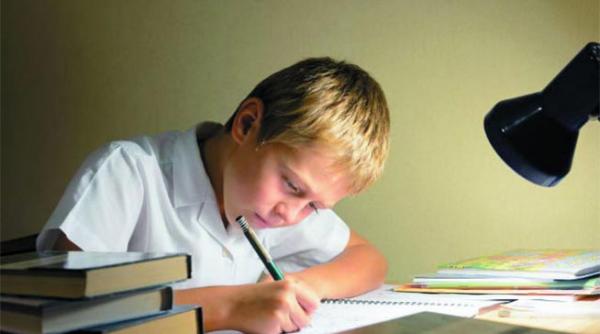 supra dotare sau supra incarcare copilul de tip davinci o ambitie riscanta