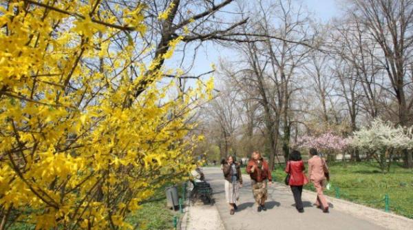 luna martie din 2015 cea mai calda din istorie recordul il detinea luna martie din 2010