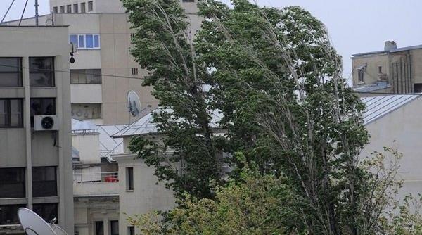 alerta de vant puternic in bucuresti si mai multe judete din tara pana la 17 20