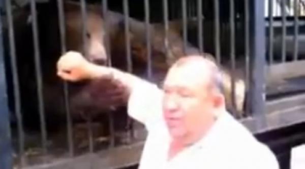 fantastic cum reactioneaza animalele salbatice cand seful gradinii zoologice trece sa le vada video