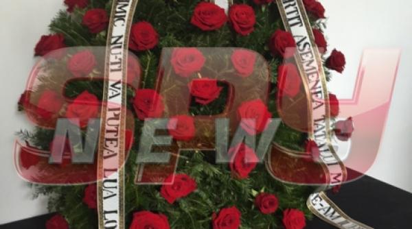 oana zavoranu mesaj coroana mama