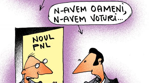 pnl cauta alternative pentru sefia senatului vasile blaga obligat sa faca pasul inapoi cum a scapat tariceanu cu functia neatinsa